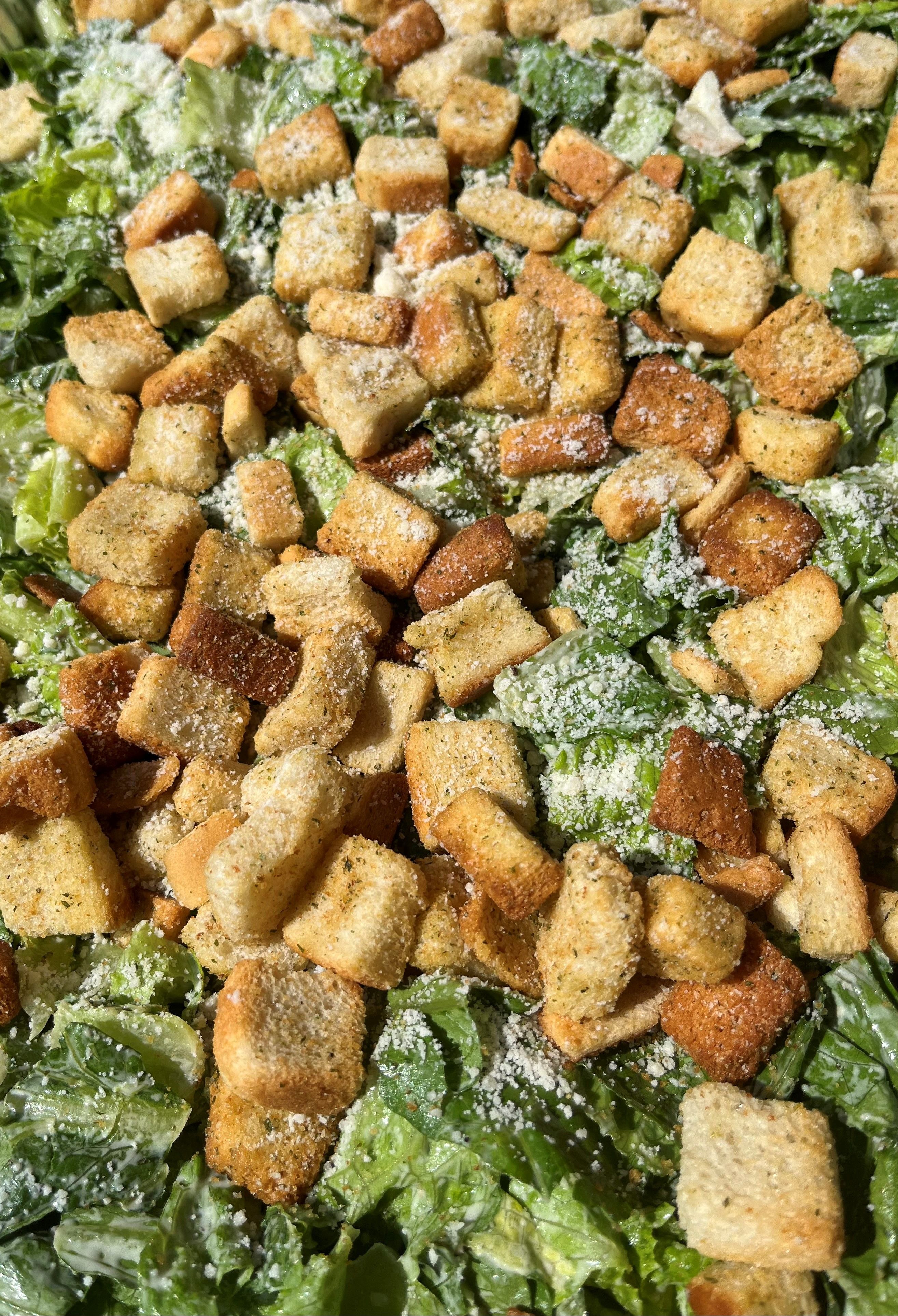 Large Caesar Salad