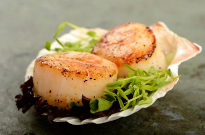 Sea Scallop Dinner