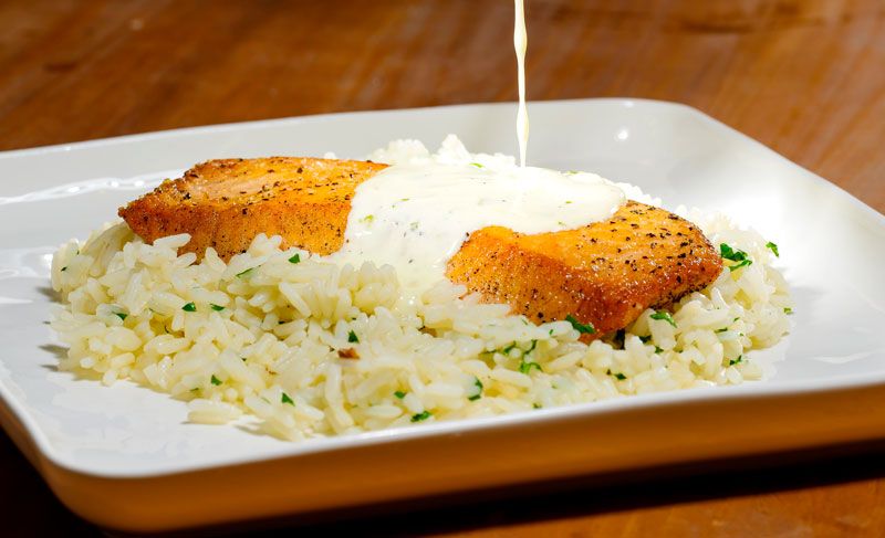 Individual: Atlantic Salmon