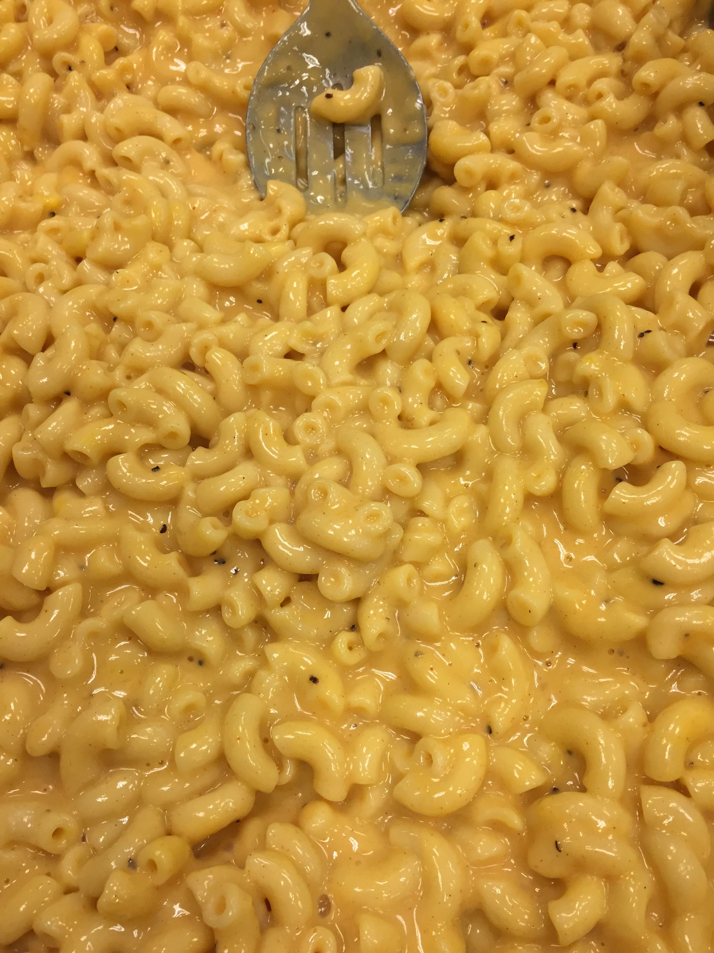 5 Cheese Mac Pan